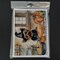 Edge Collections - 5" x 7" - Multicolor - Yorkie's Treasures Whimsical Fall Pumpkins Greeting Cards - 8 Pieces